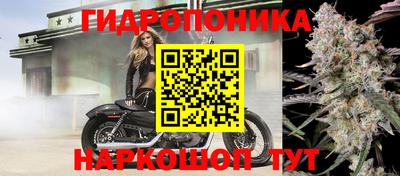 дживик Ливны