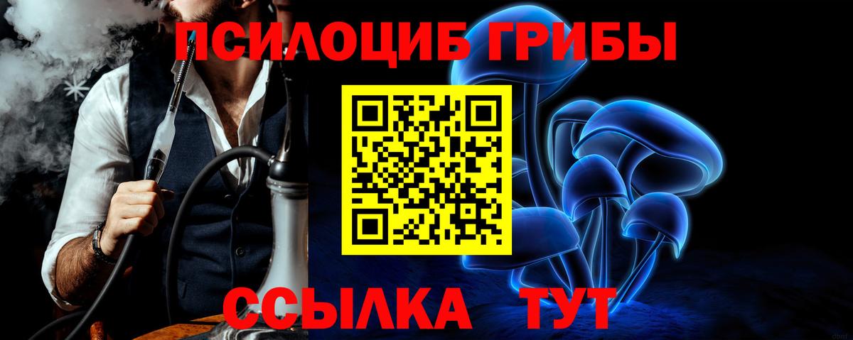 Галлюциногенные грибы GOLDEN TEACHER Йошкар-Ола